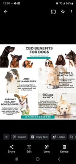 Load image into Gallery viewer, CBD 1oz Drops Bacon Flavor