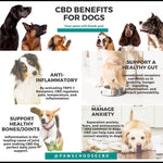 Load image into Gallery viewer, CBD 2oz Drops Bacon Flavor
