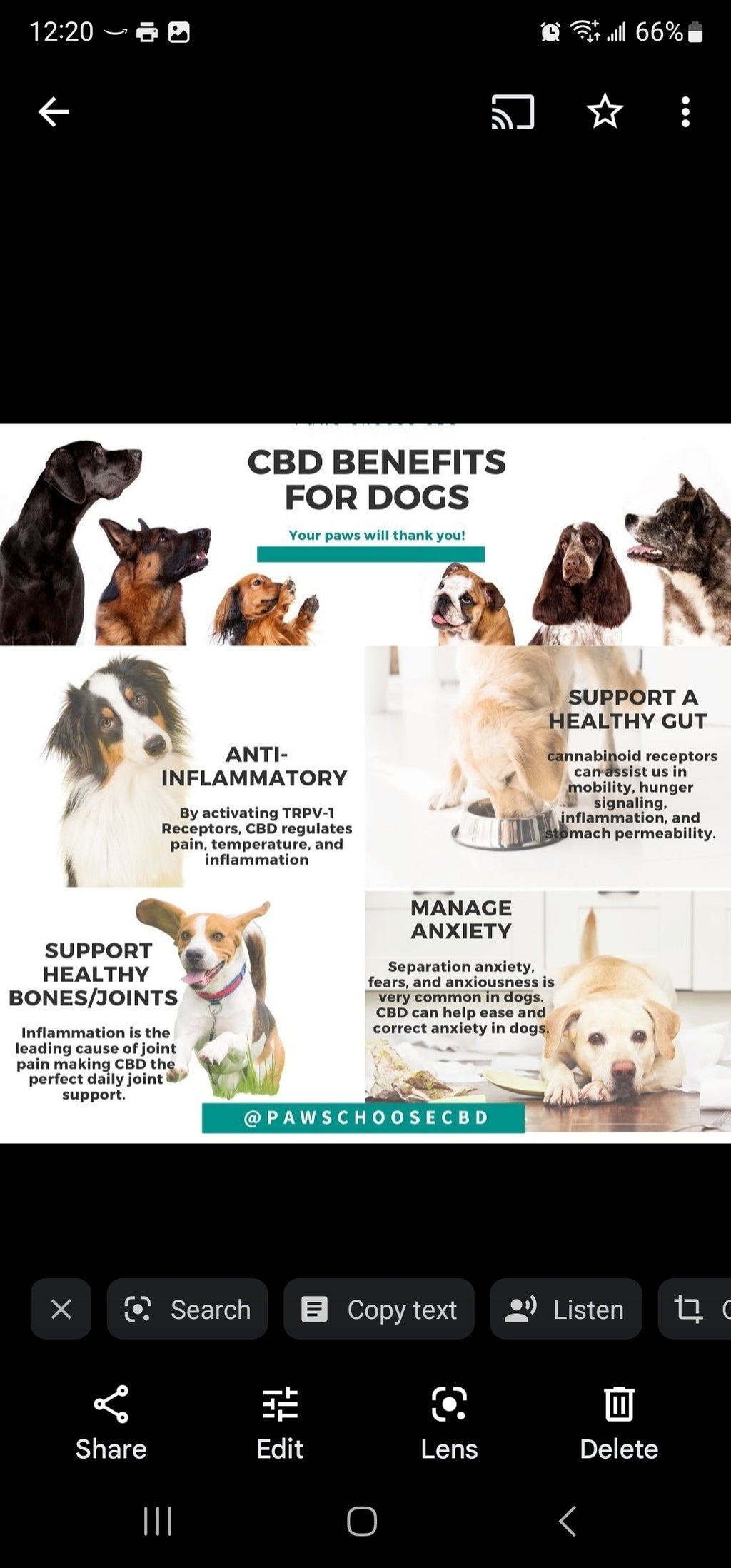CBD Cookies (30 count)