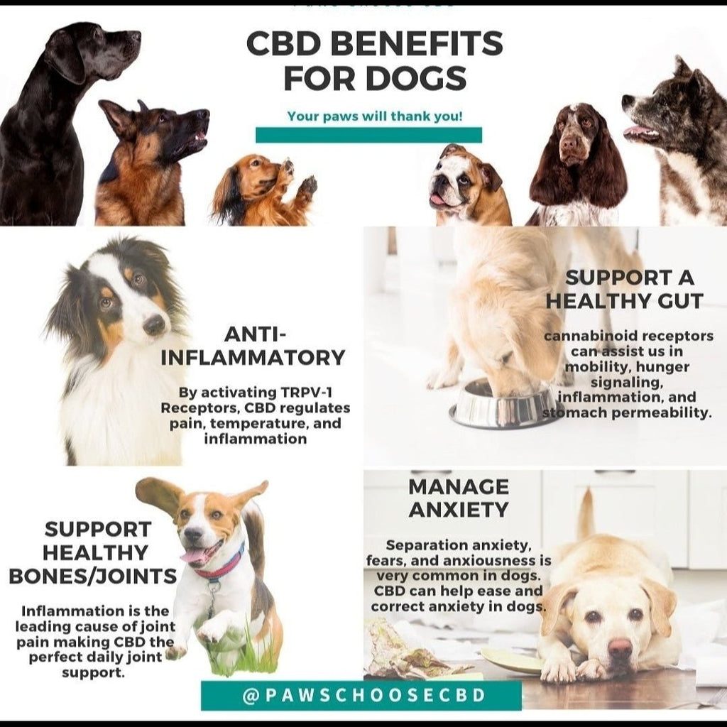 CBD Cookies (30 count) & 1oz Drops Bundle Bacon Flavor