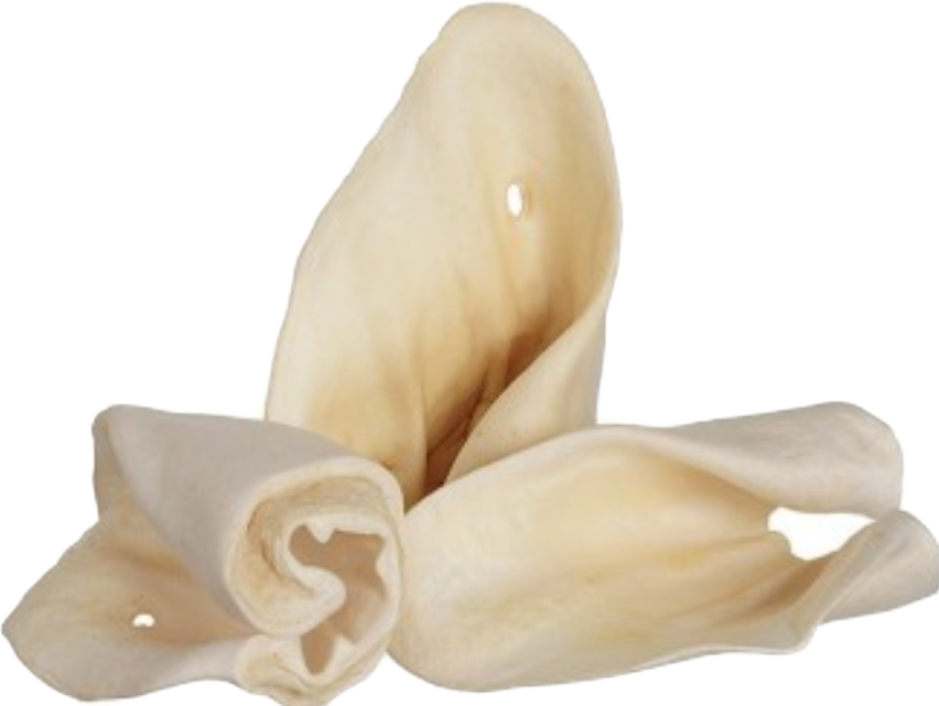 Large Cow Ears - Paws Choose Us