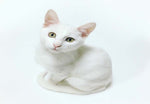 Load image into Gallery viewer, cat allergy testing