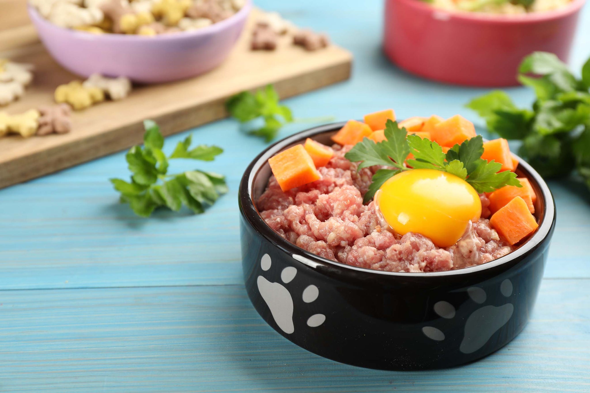 Stunning Raw Food Diet For Dogs Digestive Health image