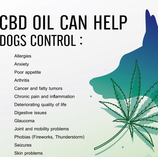 CBD Pet Drops 1000mg