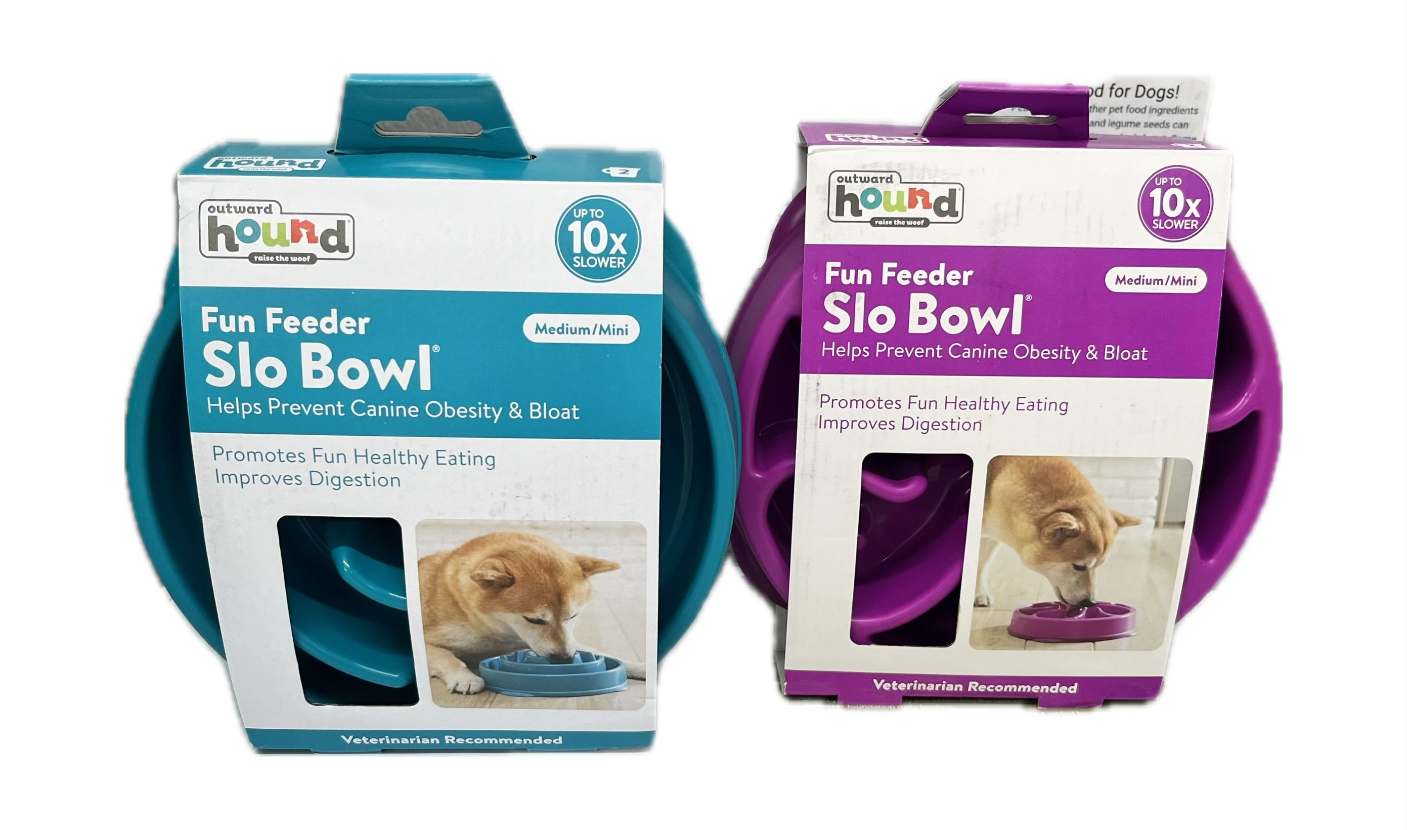 Slow Feeder Dog Bowl